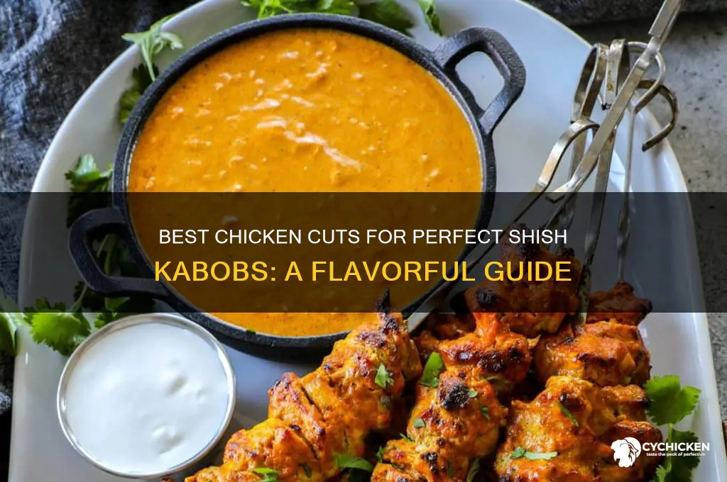 what kind of chicken for shish kabobs