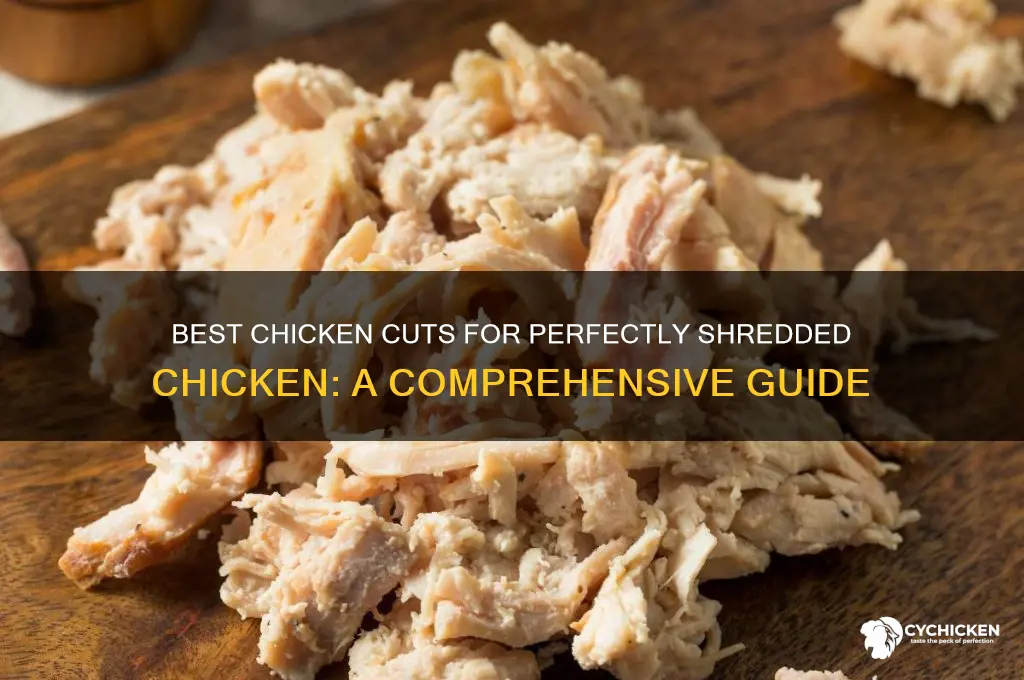 what kind of chicken for shredded chicken