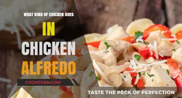 Perfect Chicken for Alfredo: Best Cuts and Types to Use