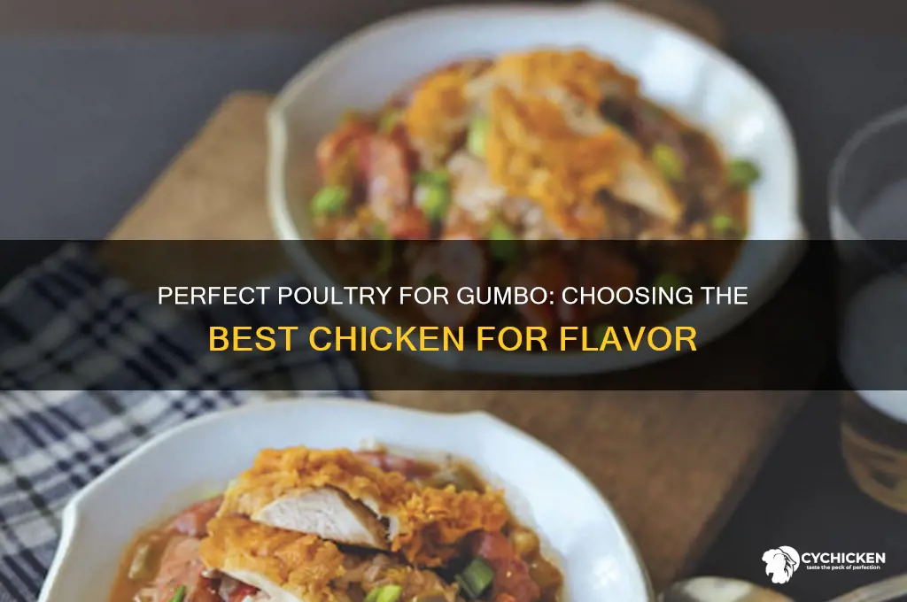 what kind of chicken goes in gumbo