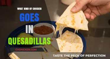 Best Chicken Types for Perfectly Delicious Quesadillas: A Guide