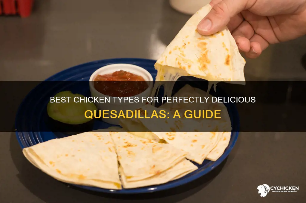 what kind of chicken goes in quesadillas
