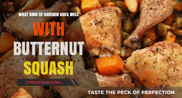 Hearty Chicken and Butternut Squash: Perfect Pairing Ideas