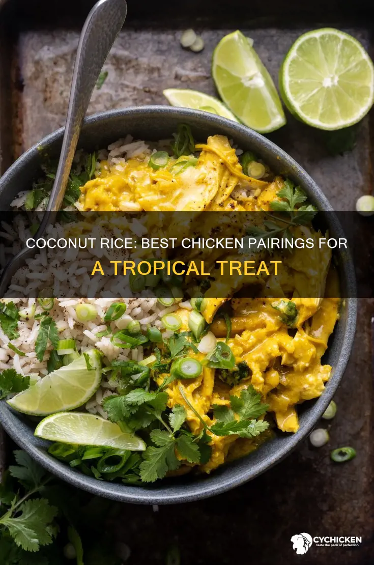 what kind of chicken goes well with coconut rice