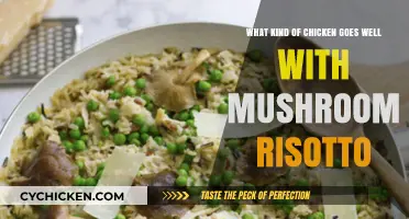 Chicken and Mushroom Risotto: The Perfect Pairing