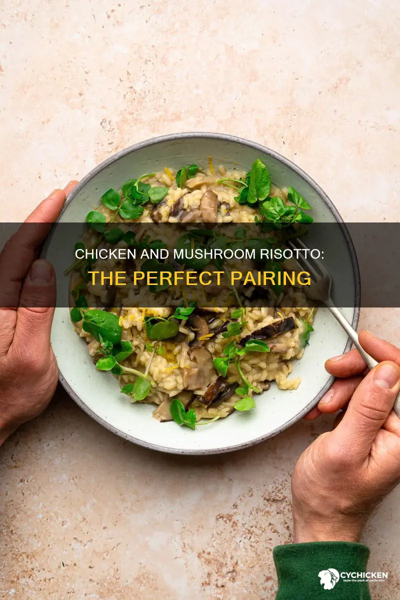 what kind of chicken goes well with mushroom risotto