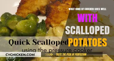 Chicken and Scalloped Potatoes: Best Bird for the Dish