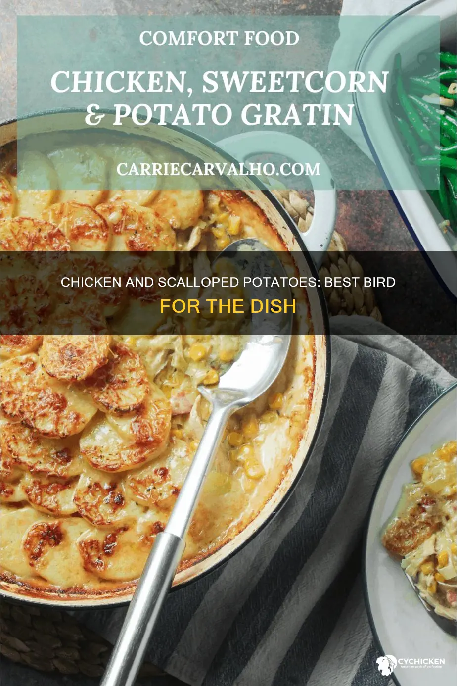 what kind of chicken goes well with scalloped potatoes