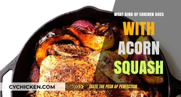 Perfect Pairing: Best Chicken Types to Complement Acorn Squash Dishes