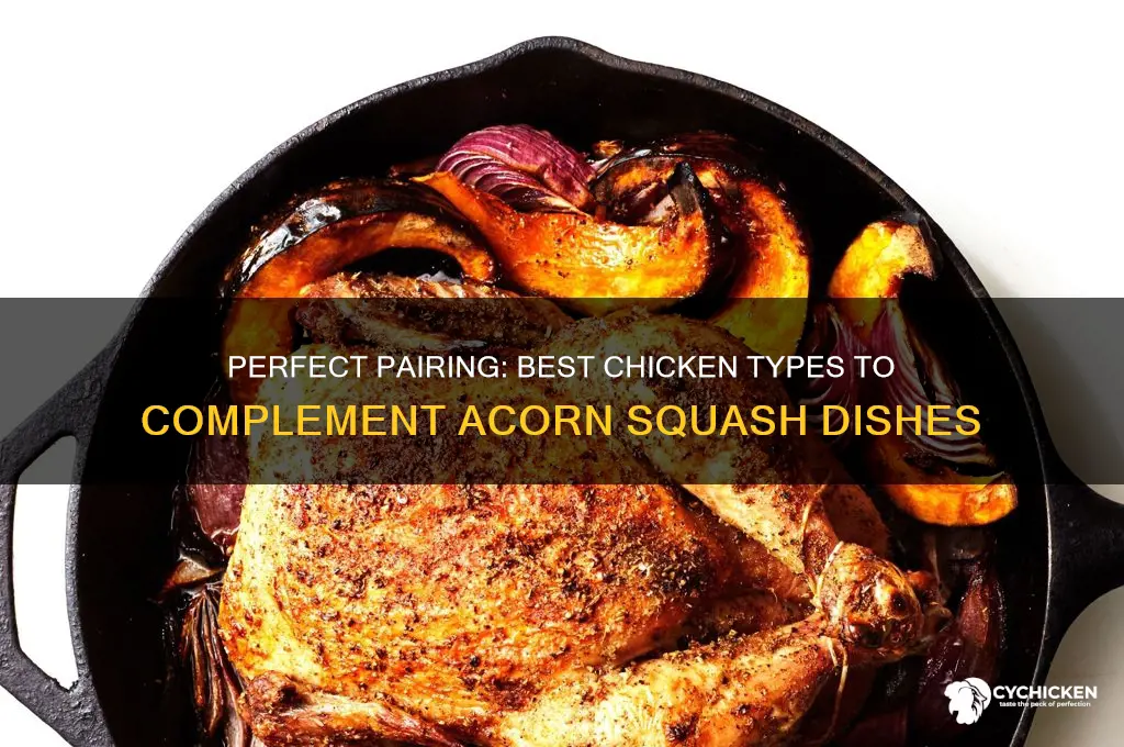 what kind of chicken goes with acorn squash