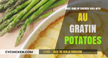Best Chicken to Pair with Au Gratin Potatoes