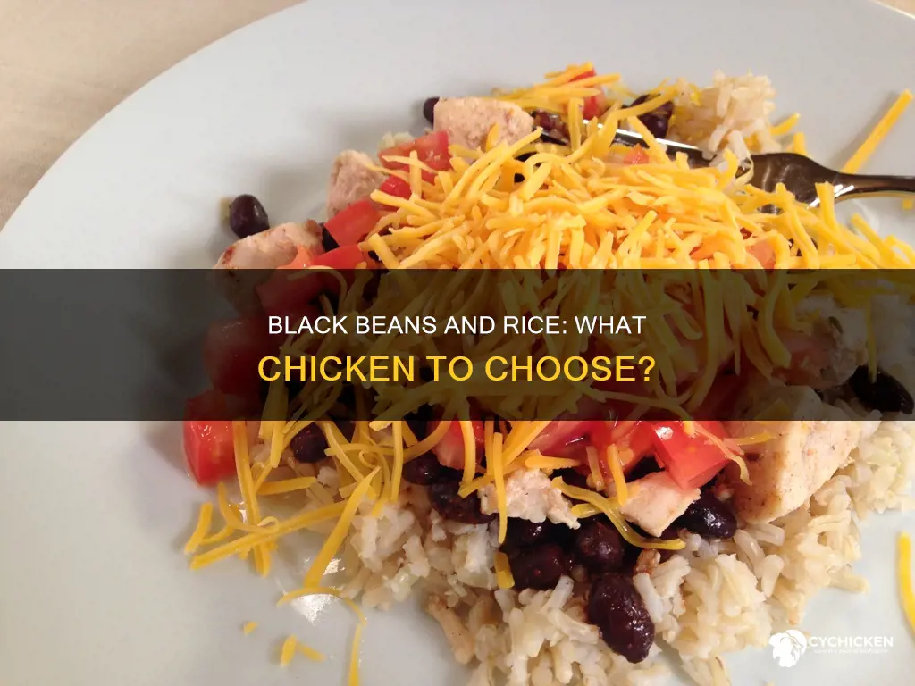 what kind of chicken goes with black beans and rice
