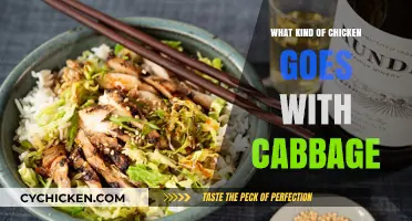 Perfect Chicken and Cabbage Pairings: Delicious Recipes to Try Today
