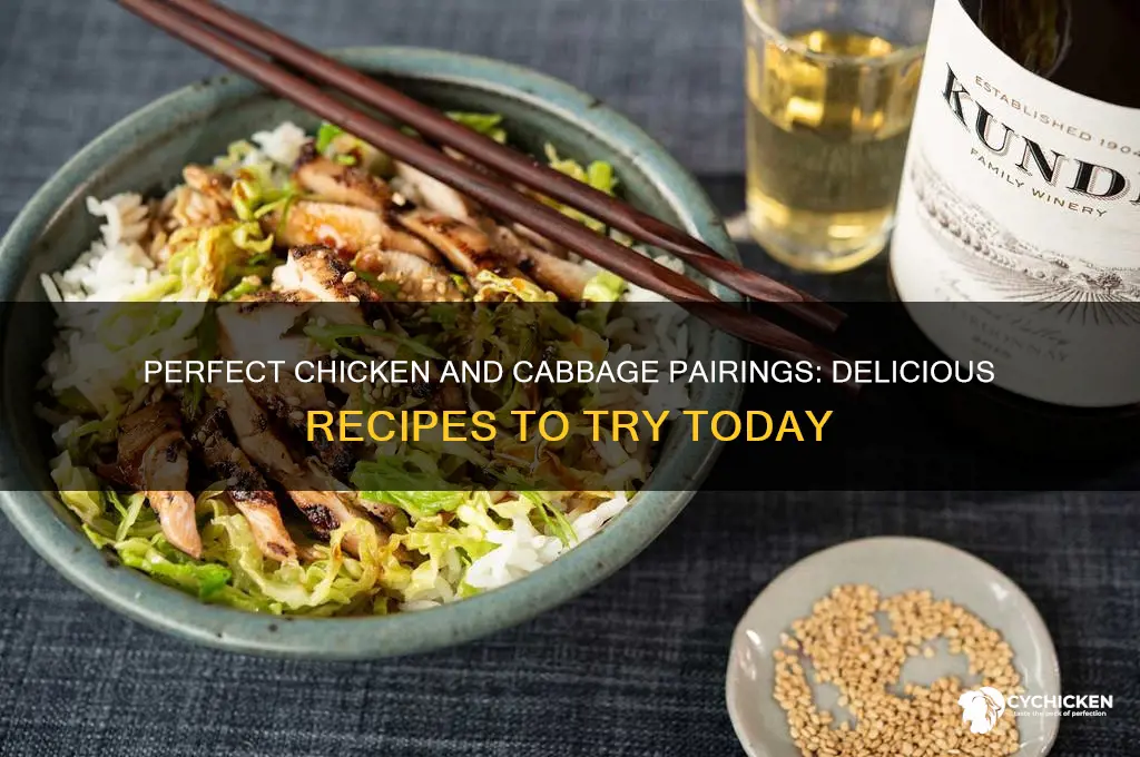 what kind of chicken goes with cabbage