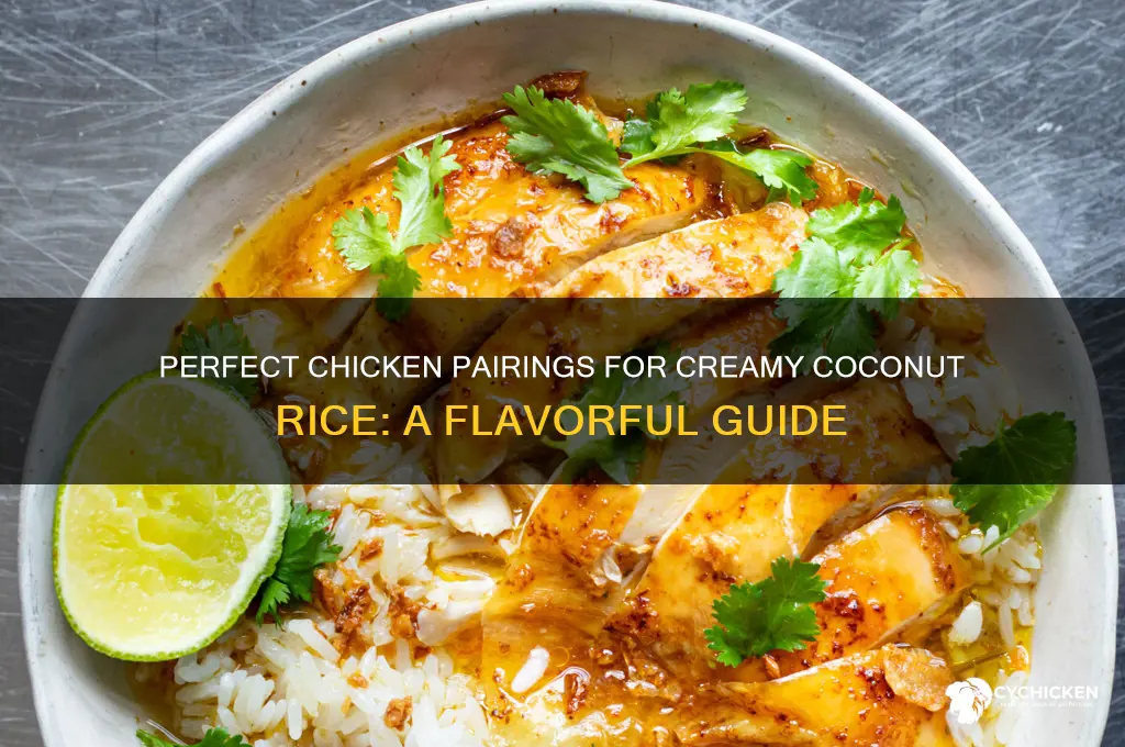 what kind of chicken goes with coconut rice
