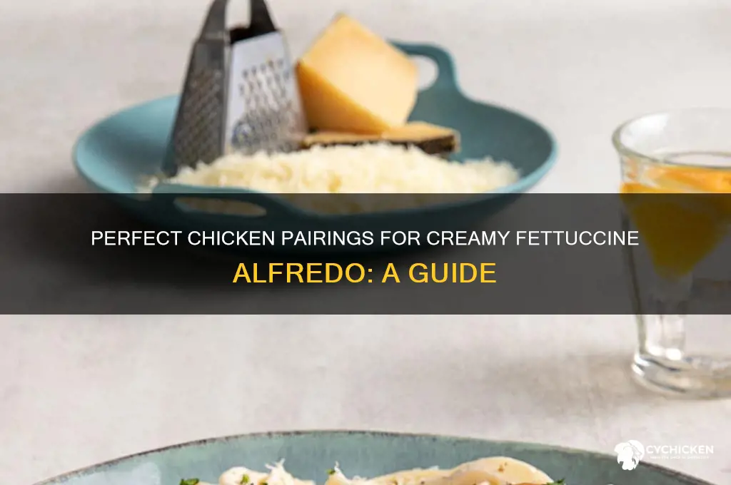 what kind of chicken goes with fettuccine alfredo