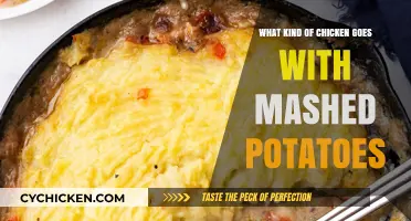 Perfect Pairings: Best Chicken Dishes to Serve with Mashed Potatoes