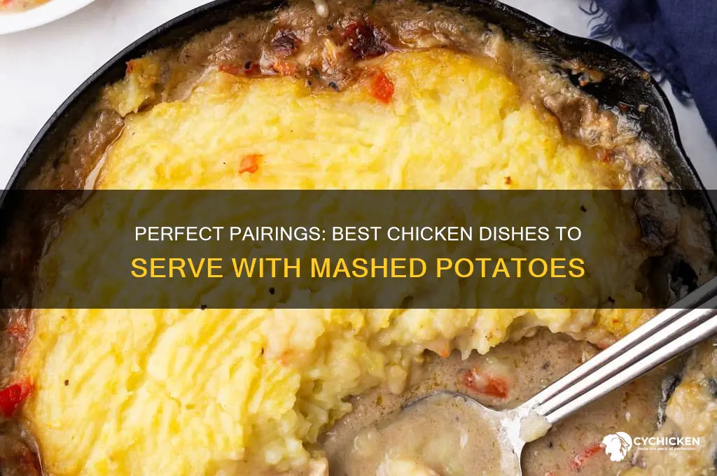 what kind of chicken goes with mashed potatoes