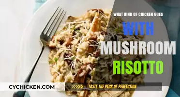 Perfect Pairing: Best Chicken Varieties to Complement Mushroom Risotto