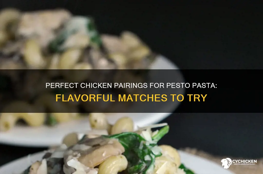 what kind of chicken goes with pesto pasta