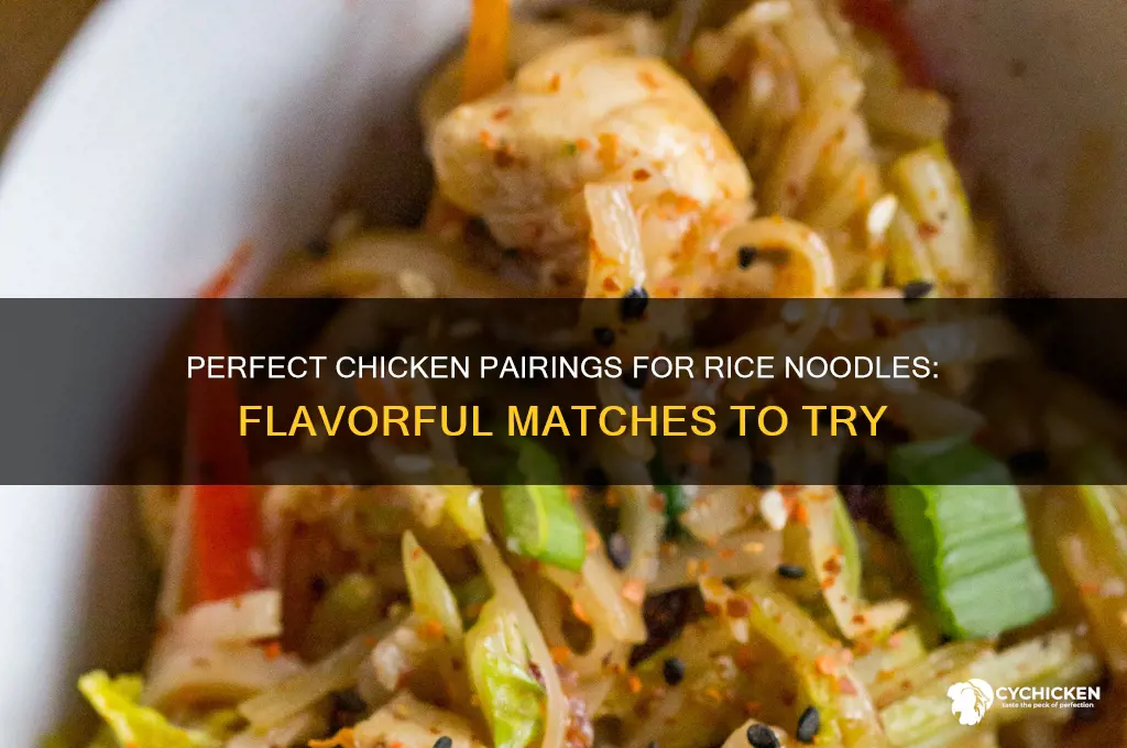 what kind of chicken goes with rice noodles