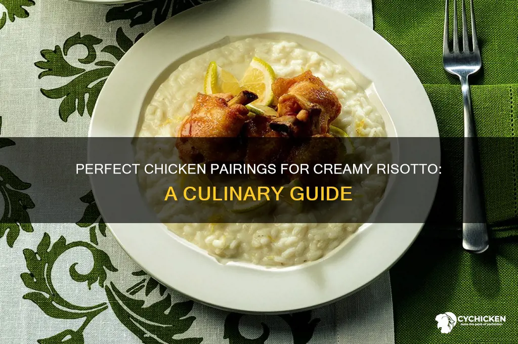 what kind of chicken goes with risotto
