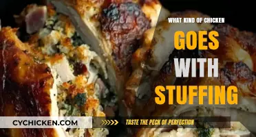 Perfect Chicken Pairings: Best Breeds to Complement Your Stuffing Dish