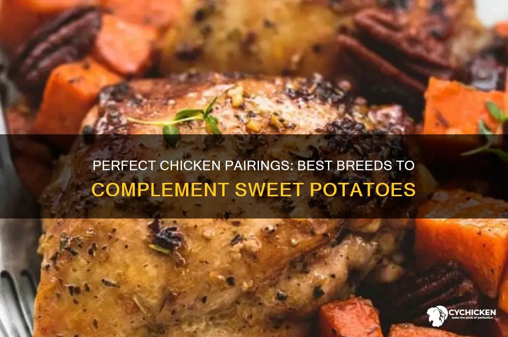 what kind of chicken goes with sweet potatoes