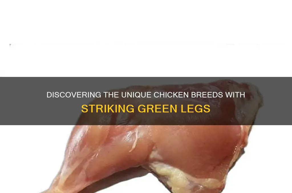 what kind of chicken has green legs