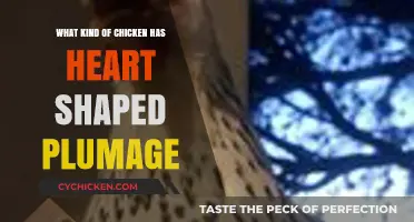 Heart-Shaped Feathers: Discovering the Unique Chicken Breed with Romantic Plumage