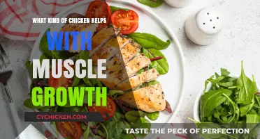 Boost Muscle Growth: Best Chicken Types for Fitness Enthusiasts