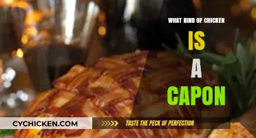 What is a Capon Chicken? Unveiling the Unique Poultry Breed