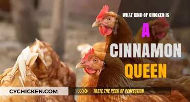 Discover the Unique Traits of Cinnamon Queen Chickens