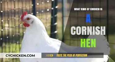 What is a Cornish Hen? Uncovering the Unique Chicken Breed