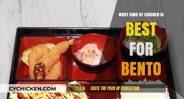 Perfect Bento Chicken: Choosing the Best Poultry for Your Box