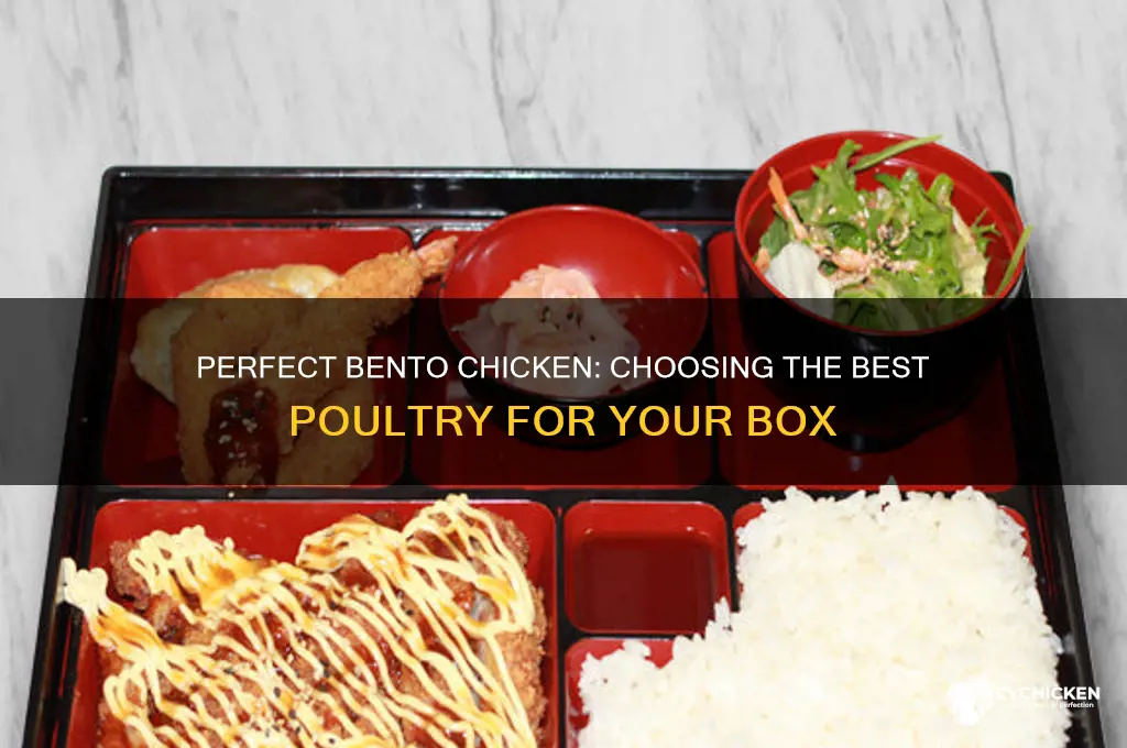 what kind of chicken is best for bento