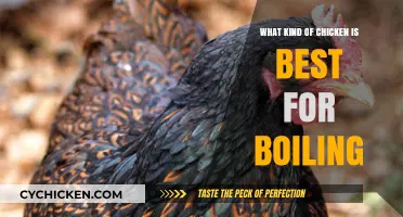Best Chicken Breeds for Boiling: Tender, Juicy, and Flavorful Choices