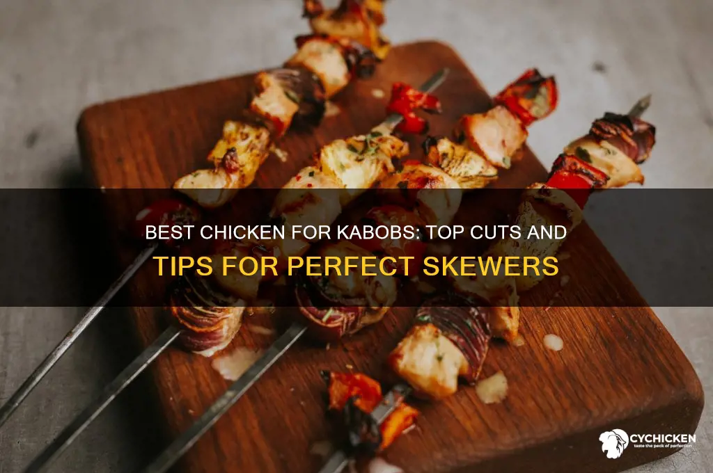what kind of chicken is best for kabobs