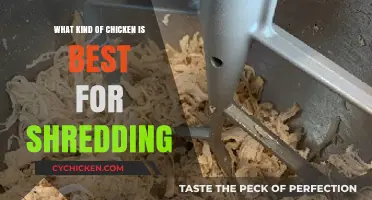 Best Chicken Breeds for Perfect Shredding: A Culinary Guide