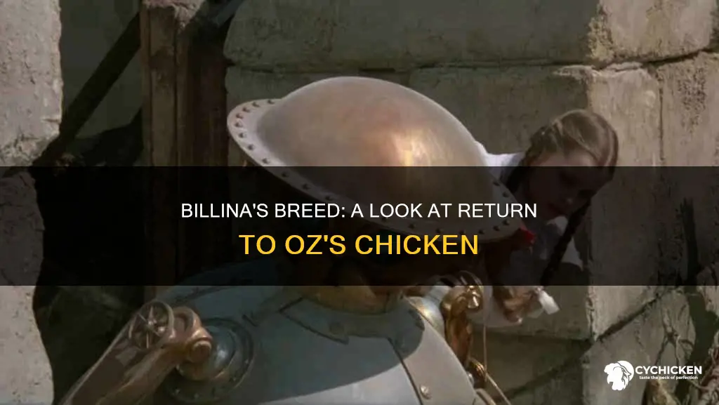 what kind of chicken is billina in return to oz