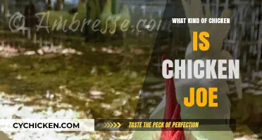 Unveiling the Mystery: What Kind of Chicken is Chicken Joe?