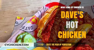Dave's Hot Chicken: Nashville-Style Spicy Chicken