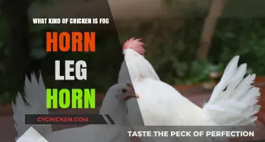 Foghorn Leghorn: What Breed of Chicken is He?