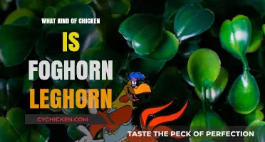 Unveiling Foghorn Leghorn: The Iconic Cartoon Chicken's Breed Explained
