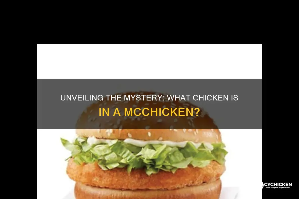 what kind of chicken is in a mcchicken