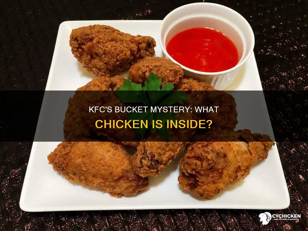 what kind of chicken is in an 8-piece kfc bucket