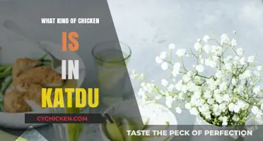 Exploring the Chicken Variety Used in Authentic Katdu Recipes