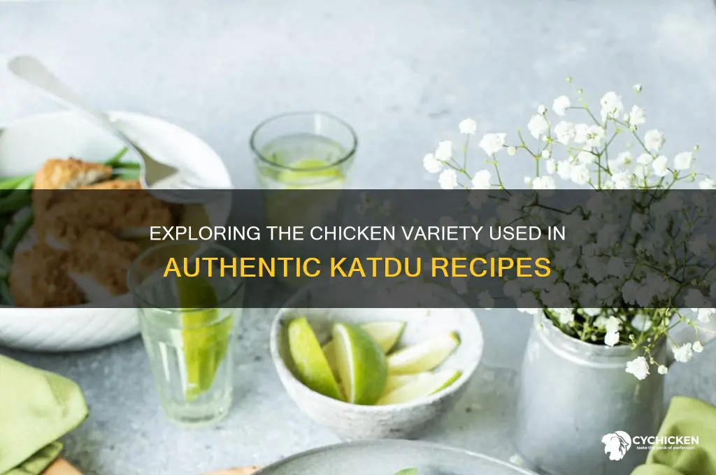 what kind of chicken is in katdu
