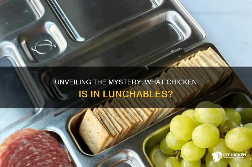 what kind of chicken is in lunchabl