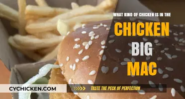 Chicken Big Mac: What Kind of Meat is Used?